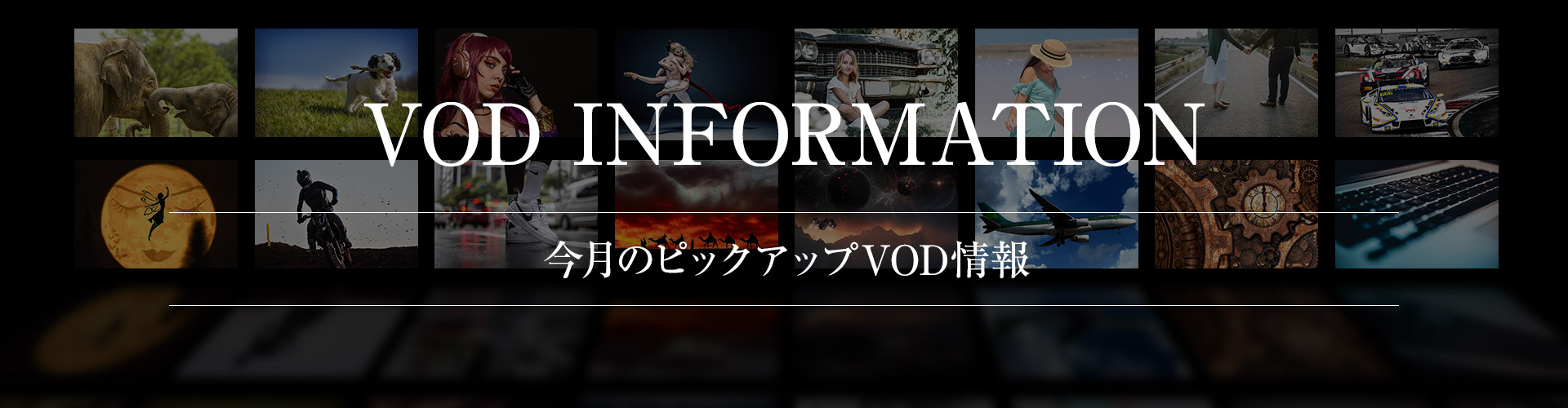 お部屋案内ヘッダー